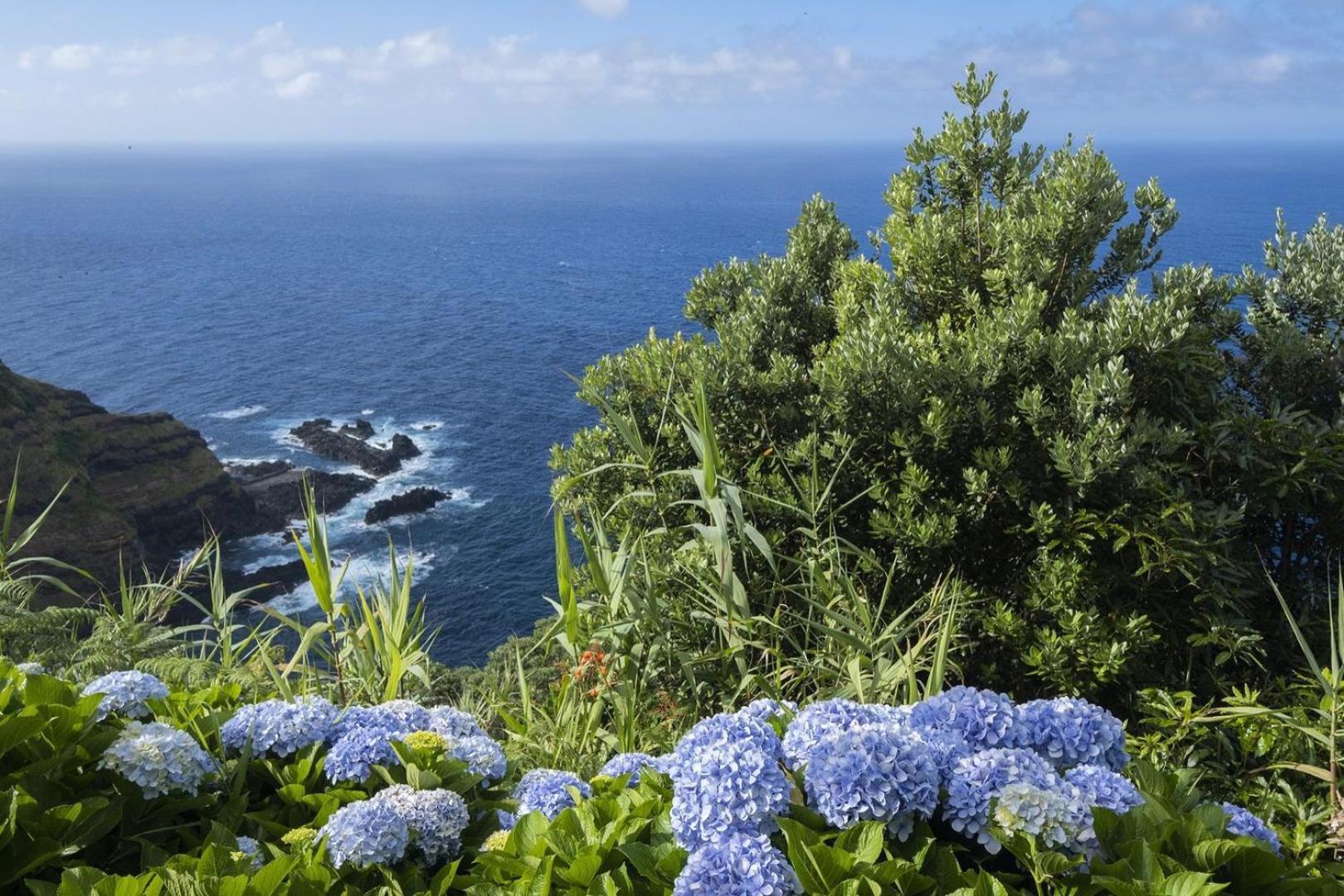 Welcomebuddy - Casa Do Moinho Garden & Sea Retreat Ponta Delgada 외부 사진
